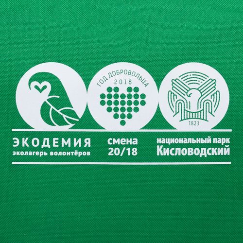 D: Шелкография с трансфером D: Шелкография с трансфером